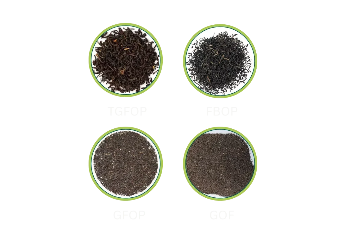 Untitled design - 2025-10-29T194958_049